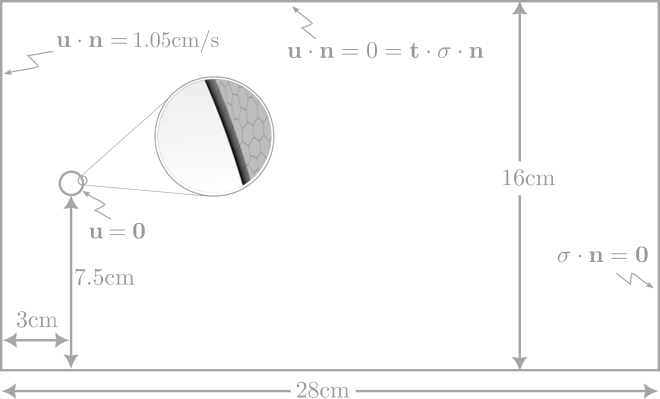 fig96 domain